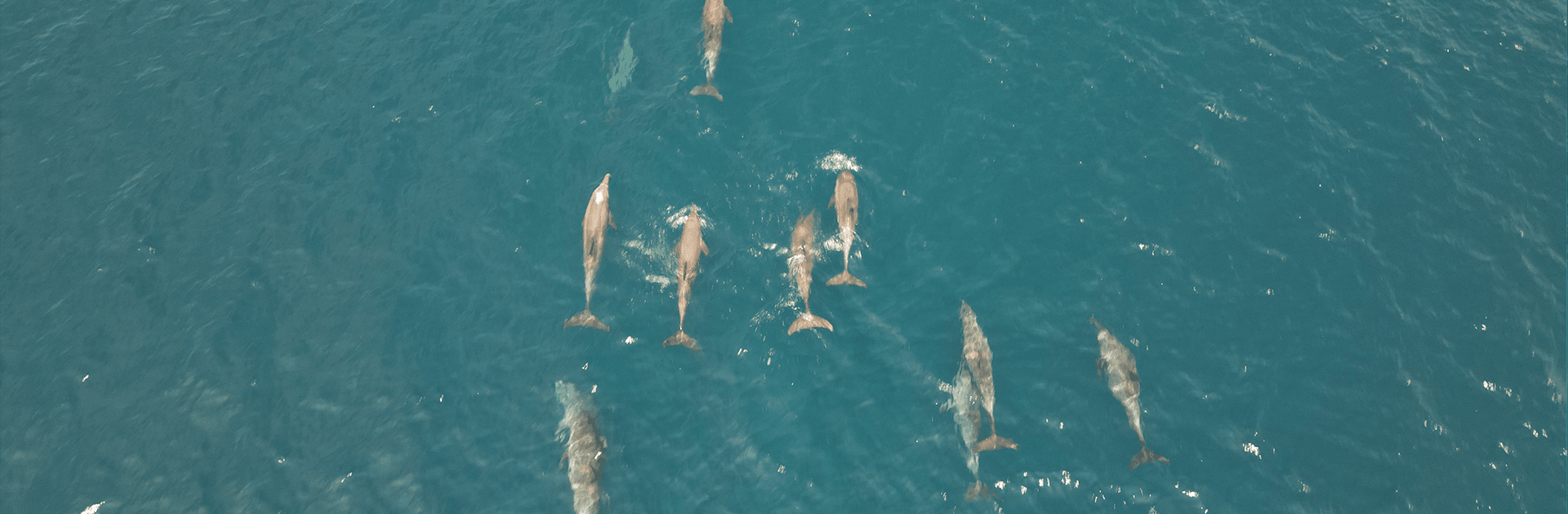 Barren Island Volcano Expedition 2