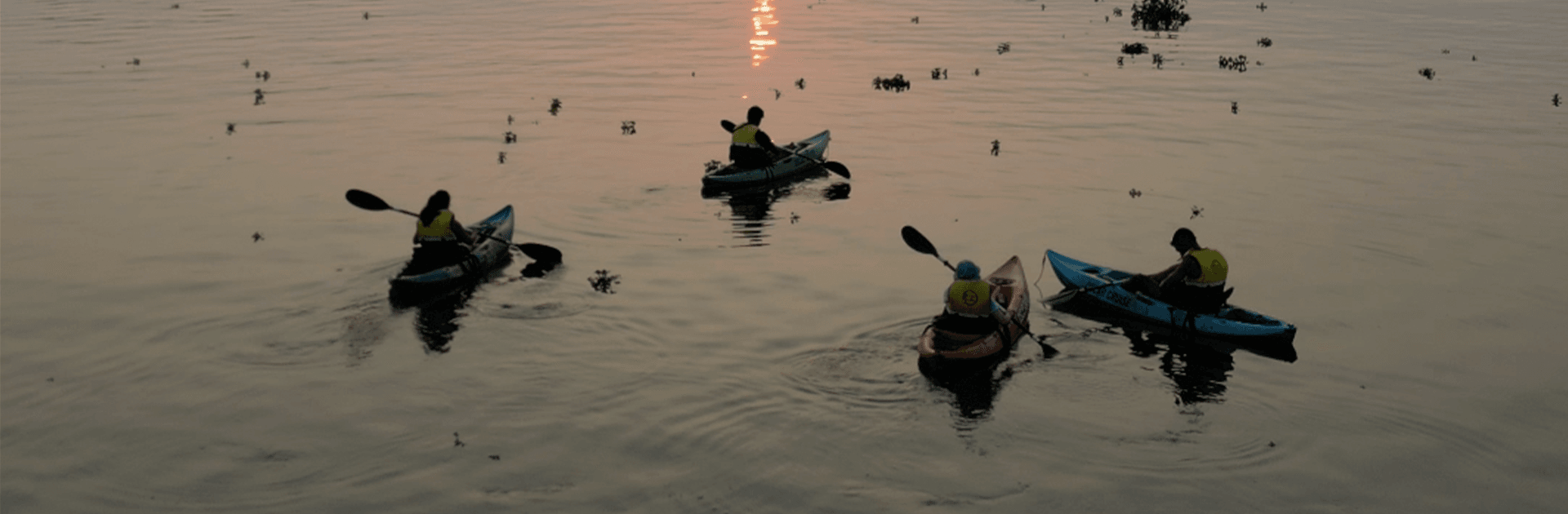 Sunrise/Bioluminescent Kayaking 1